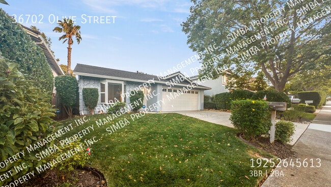 Building Photo - 36702 Olive St