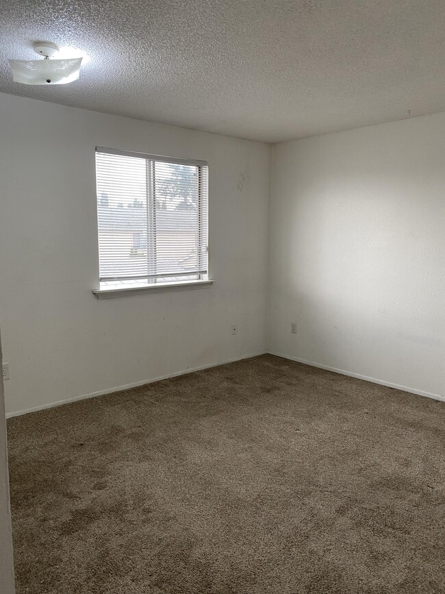 Building Photo - 10317 15th Ave Ct E