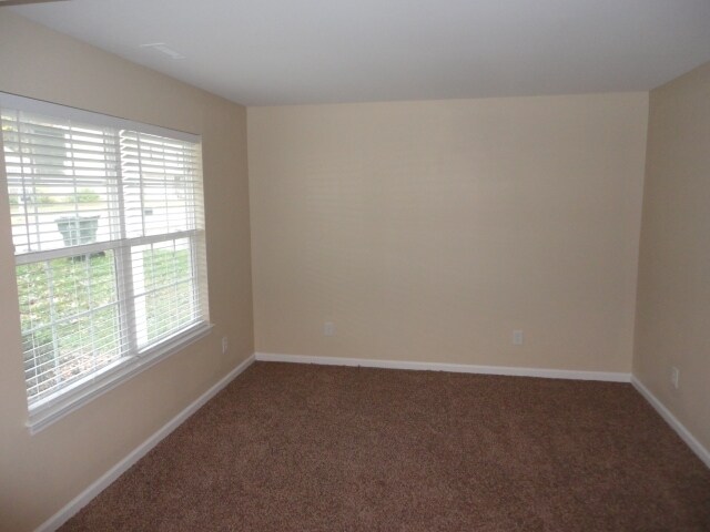 Building Photo - 3913 Tyler Bluff Lane
