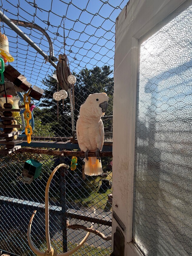 Foto principal - 101 Ten Broeck Ln