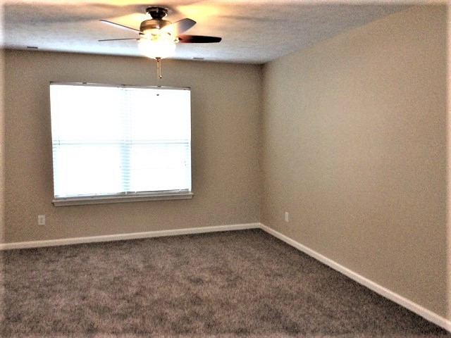 Building Photo - 10392 Cedar Drive