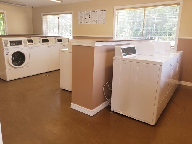 Clothes Care Facility - Camellia Apartments