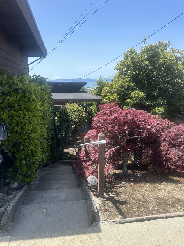 206 Cambridge Ave, Kensington, CA 94708 House for Rent in Kensington