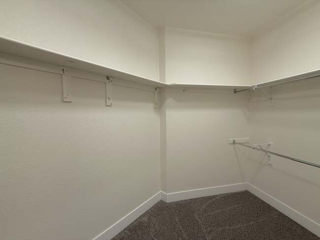 primary-walk-in-closet-high-line-pointe-B5-2x2.5-1301-600-pikes-peak-3-13-2026.JPG - High Line Pointe