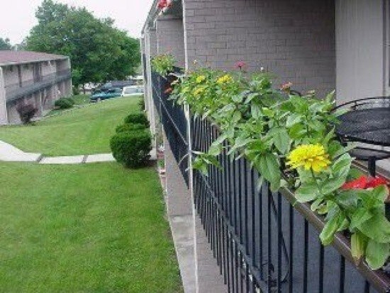 Foto del edificio - 200 Thistlewood Ave