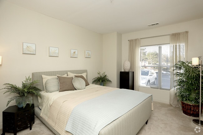 Interior Photo - Sofi Danvers