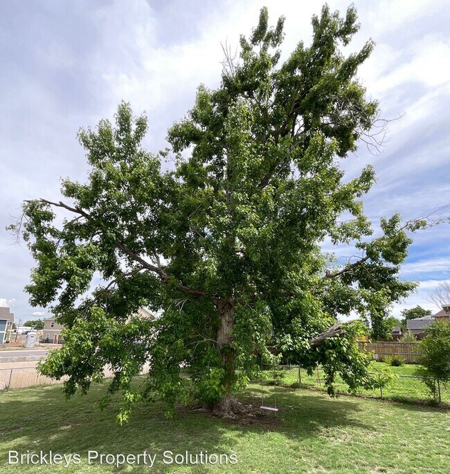 Foto del edificio - 3 br, 2 bath House - 4058 N Colony Hills Cir