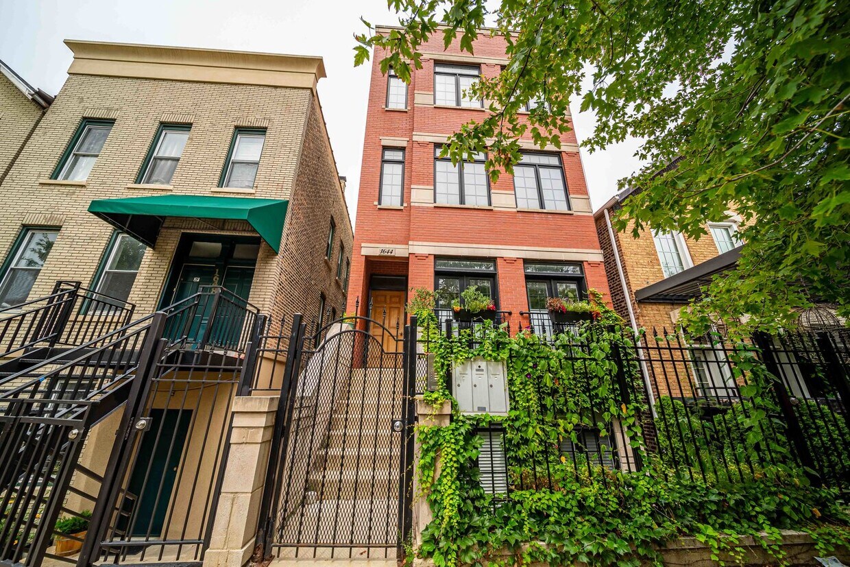 Primary Photo - 1644 W Cullerton St