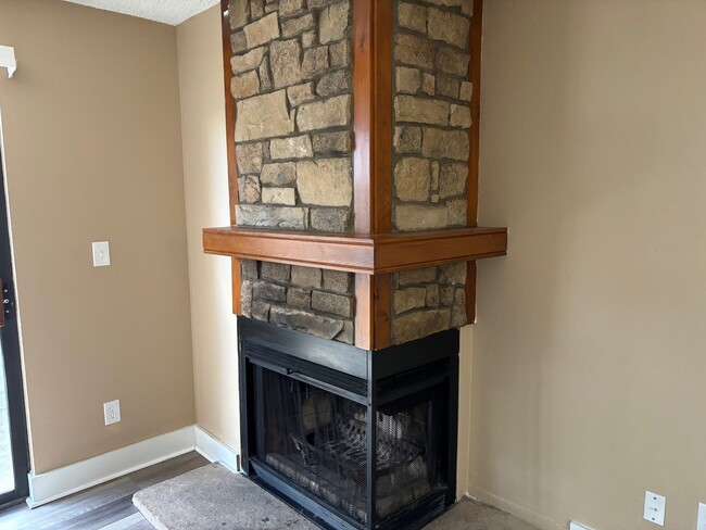 Fireplace - 923 S Zeno Way