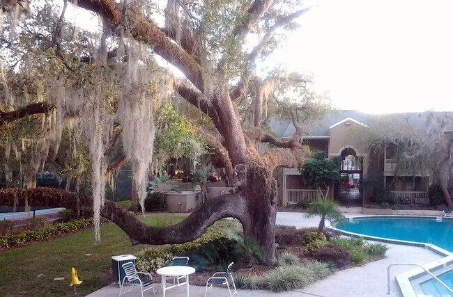 Building Photo - Peaceful Garden View 1/1 Condo with wood f...