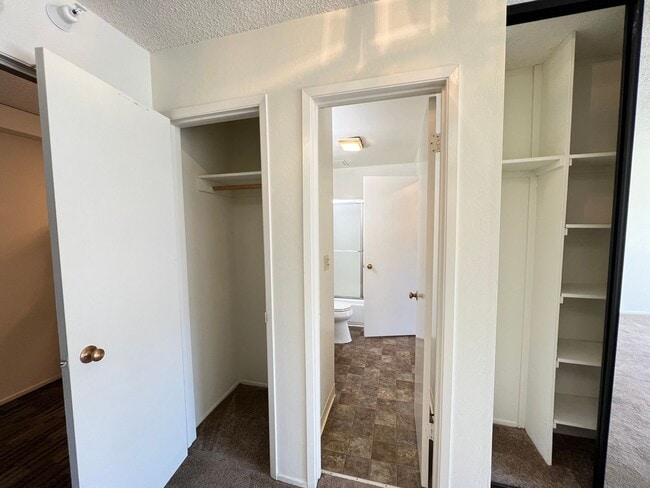 Building Photo - Studio Condo Available Now