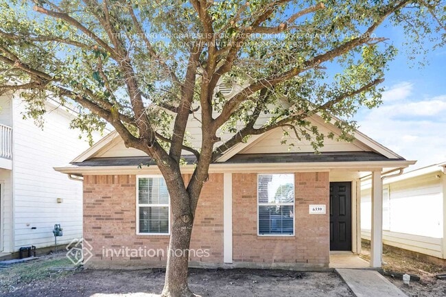 Building Photo - 6339 Mountain Pines Ln