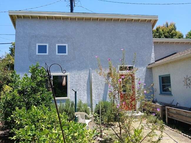 Flowers and citrus trees - 1810 Stearns Dr (Los Angeles, CA) House