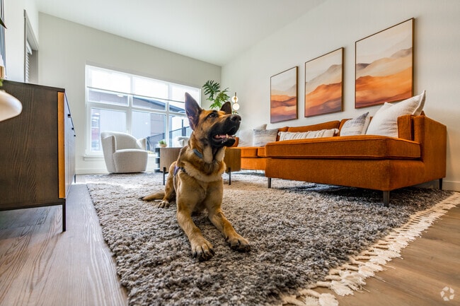 Sacramento, CA Pet Friendly Apartments 4,124 Rentals