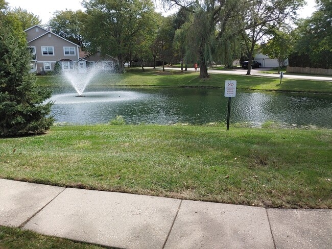 Foto del edificio - 421 N Lake Shore Dr