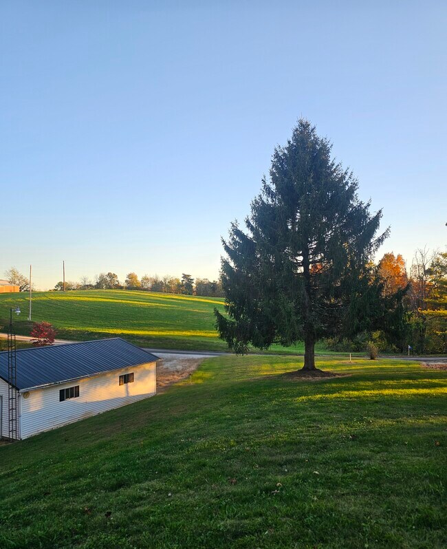 Foto del edificio - 559 Robert Kelly Rd