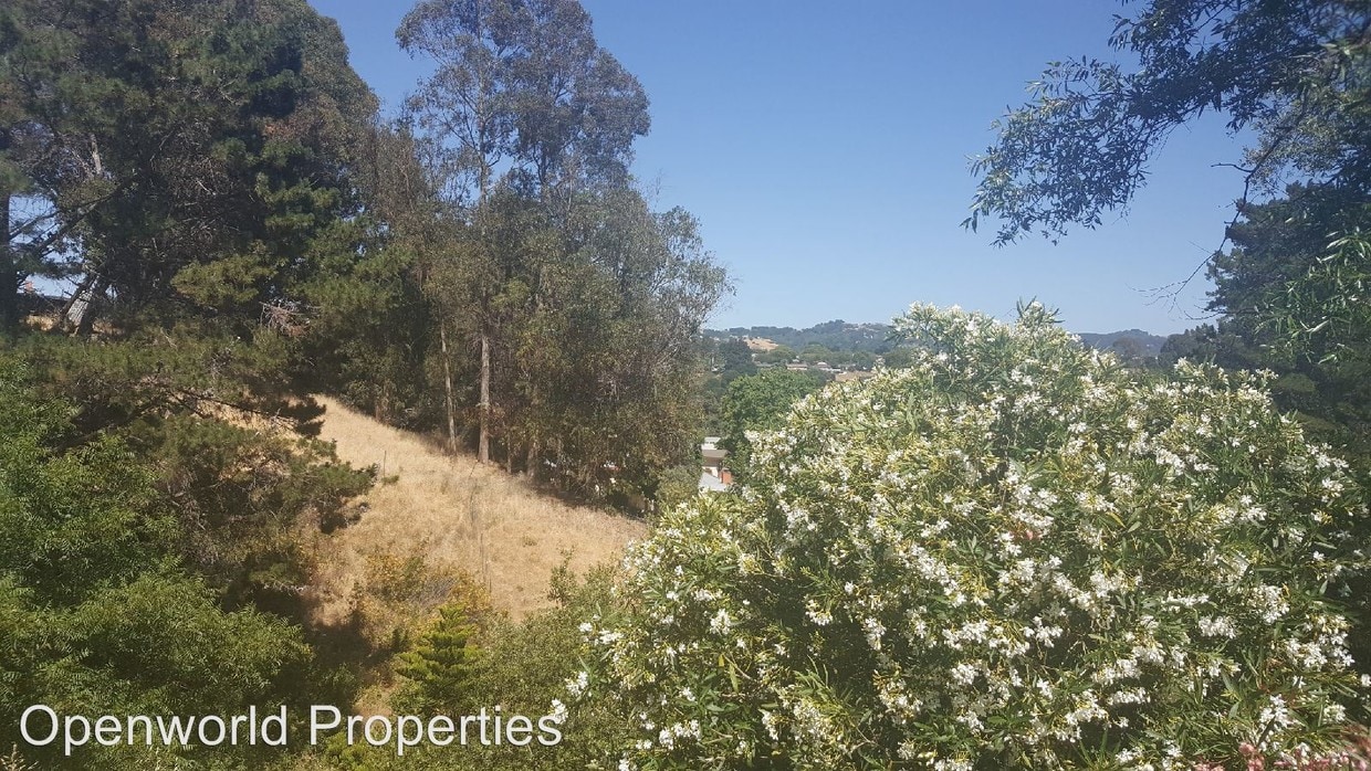 Primary Photo - 3 br, 2 bath House - 632 La Paloma Rd