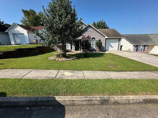 Building Photo - 10629 Pine Forest Ln