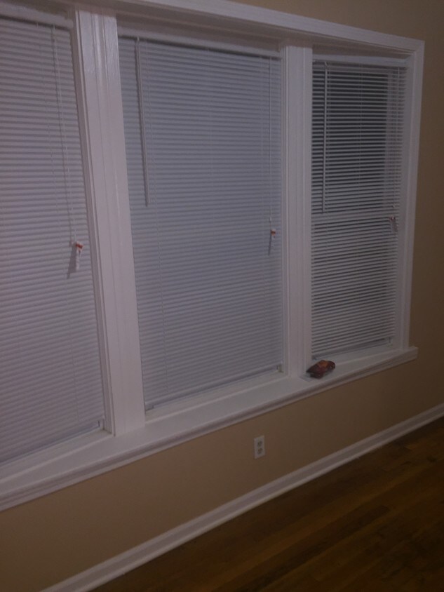 new windows and paint - 6739 S Emerald Ave
