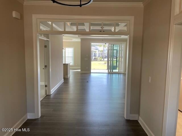 Photo - 8432 Wayne St Townhome