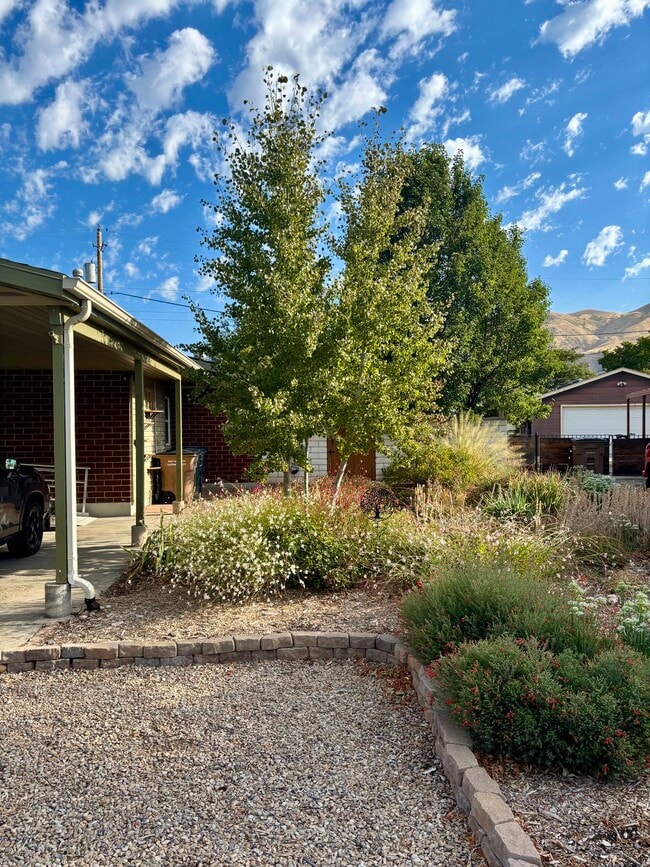 Foto del edificio - 1146 Taffeta Dr