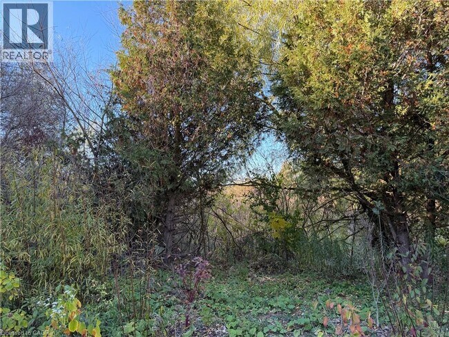 Photo du bâtiment - 425 Old Oak Dr