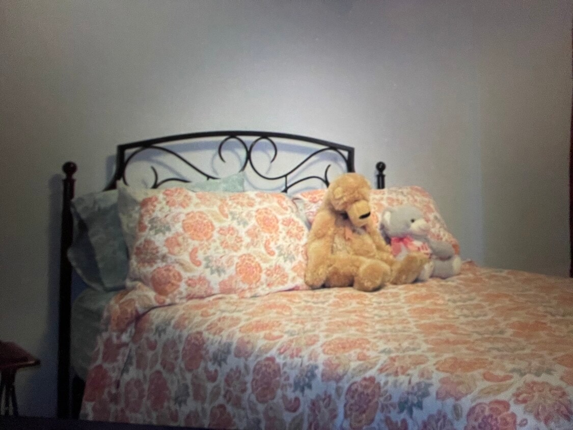 245 Alpine Dr Unit 245, Bristol, VA 24201 Condo for Rent in Bristol