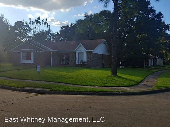 Foto principal - 4 br, 2 bath House - 11627 Wood Shadow Dr