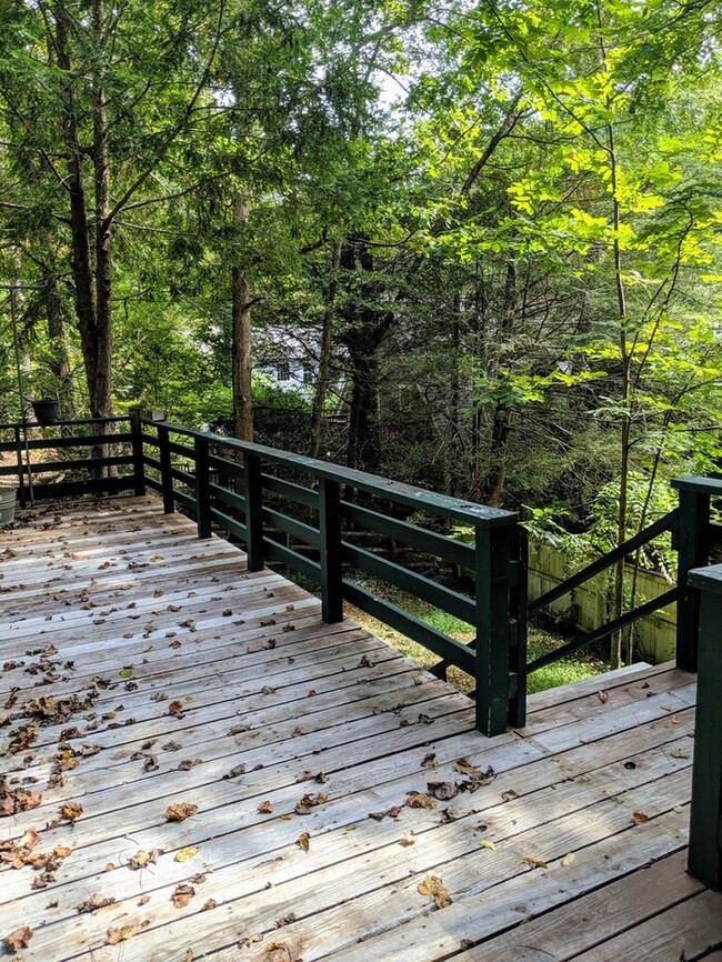 Foto del edificio - Montreat Cottage