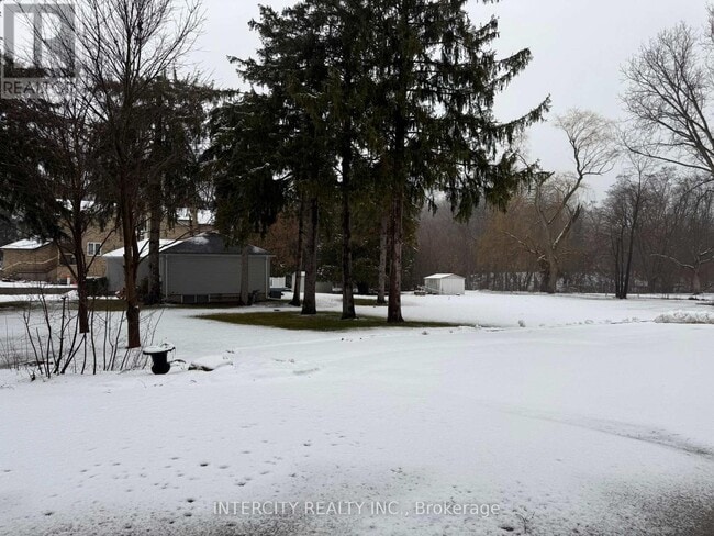 Building Photo - 117 Clarence St