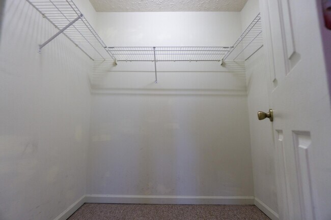 Building Photo - 3200 John Hinkle Pl