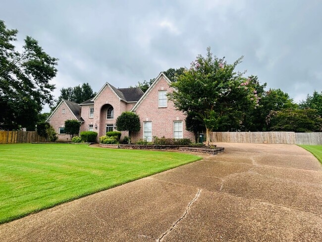Foto del edificio - Beautiful Collierville home tucked away in...