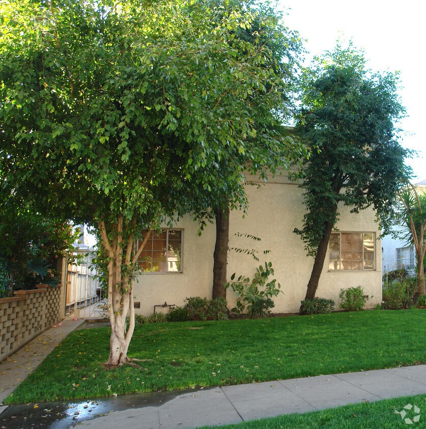 tree obstruction - 10710 Camarillo St