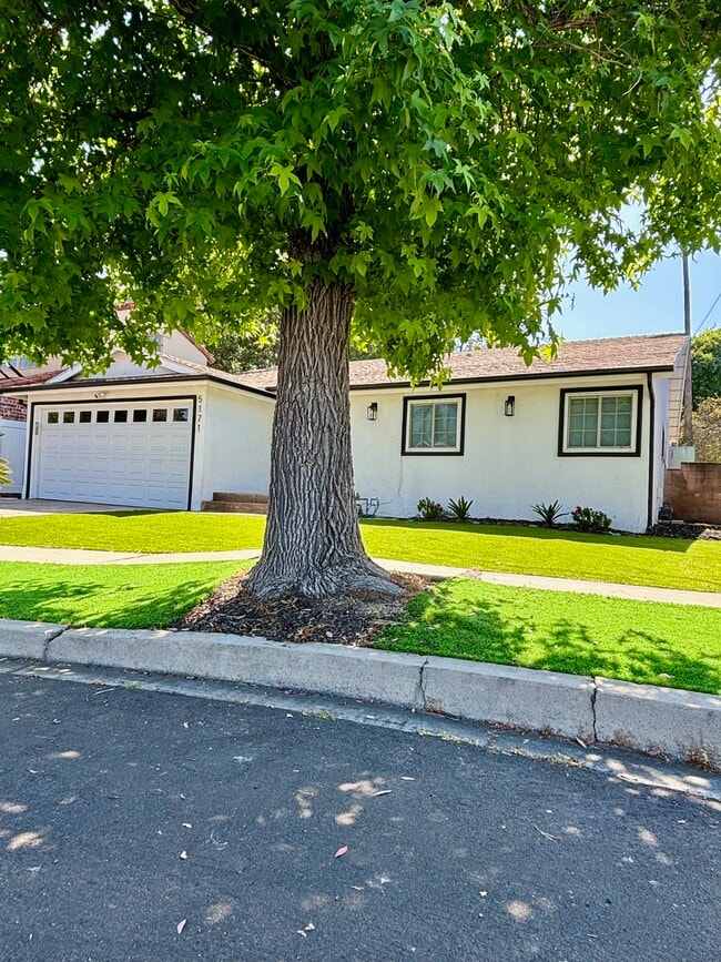 Front yard - 5171 Costello Ave