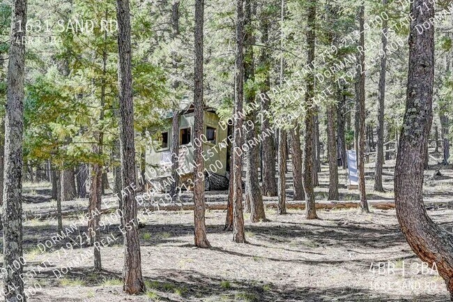 Building Photo - Sugar Bear Lodge