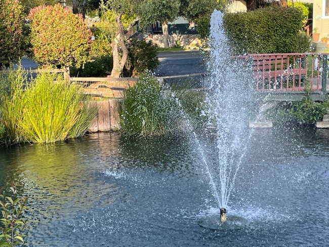 Building Photo - 444 Whispering Pines Dr