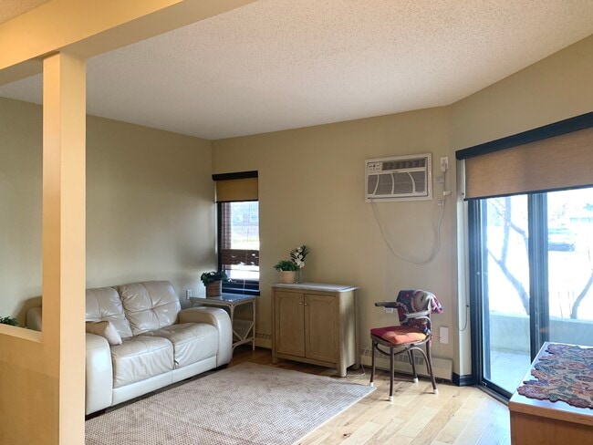 large and bright living space - 103 Powe St