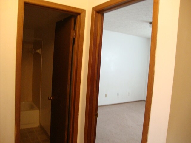 Foto del edificio - 7282 Fall Creek Ln