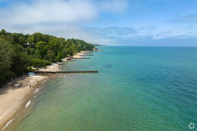 Highland Park dogs love a day at Moraine Beach where they can explore off-leash.