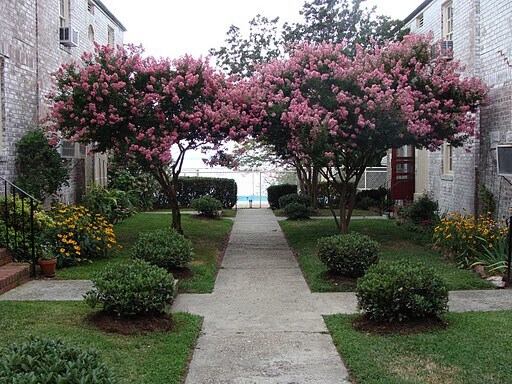 Foto del edificio - BLDG T