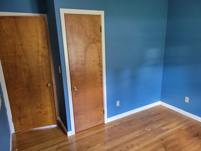 Blue room entry door and closet door - 45 Chasanna Dr