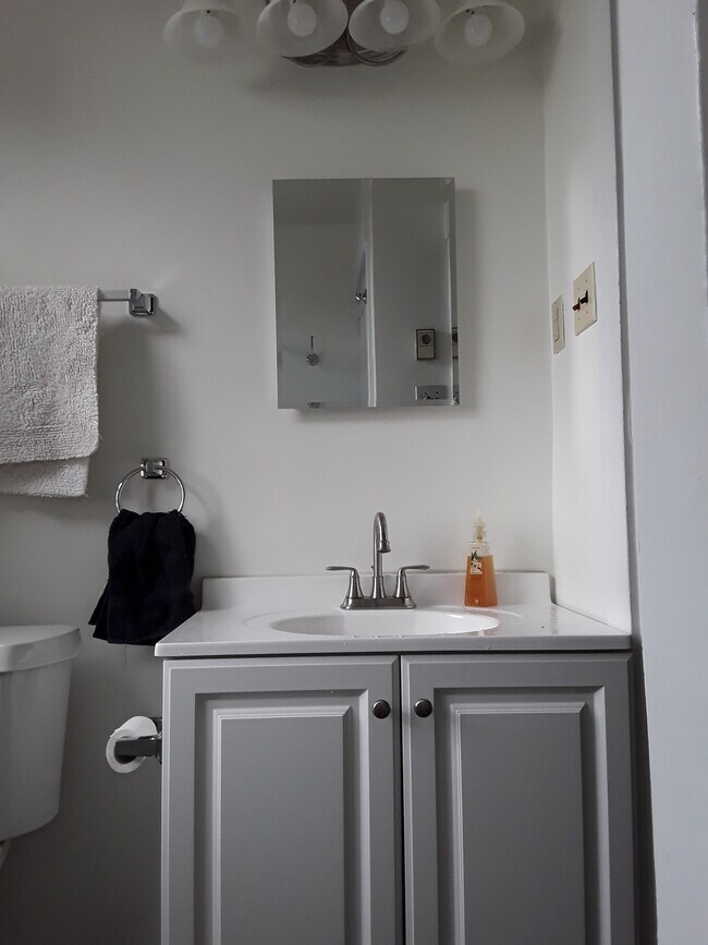 Lavabo del baño - 339 Semple St