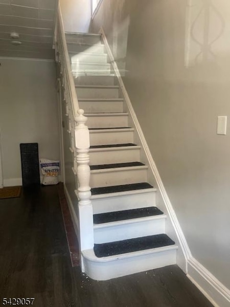 Building Photo - 135 Ripley Pl