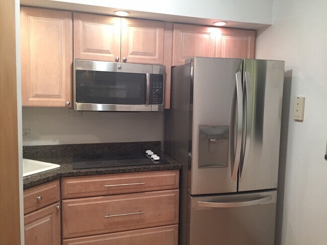 Kitchen-2 - 1455 N Sandburg Ter