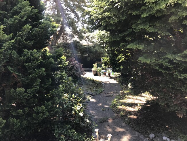 Courtyard - 172 Fairway Dr