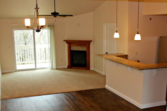 Living Area with Fireplace - Fox River Preserve II