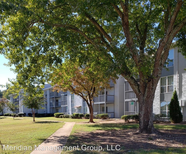 Building Photo - 1 br, 1 bath Apartment - 2823 Misty Waters Dr