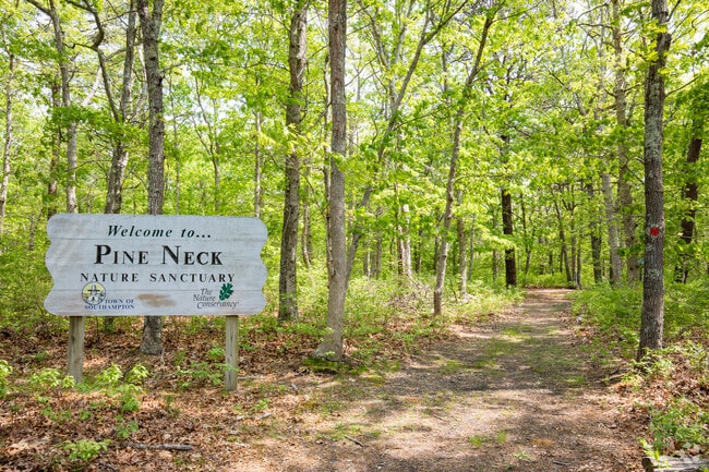 Explore Pine Neck Nature Sanctuary, a 77-acre preserve in East Quogue.