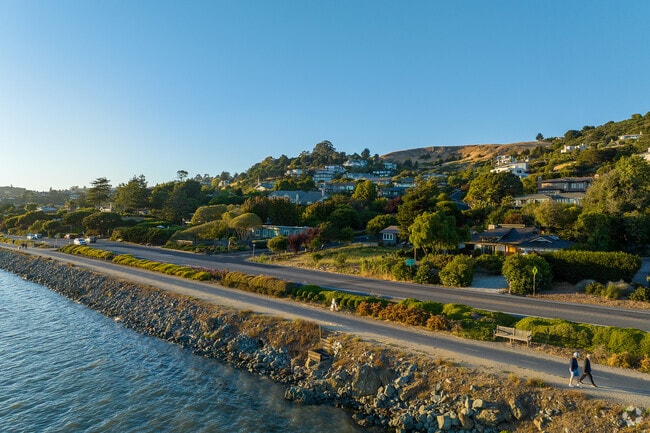 Tiburon’s Linear Park is essentially a pathway along Richardson Bay, open for walking and biking