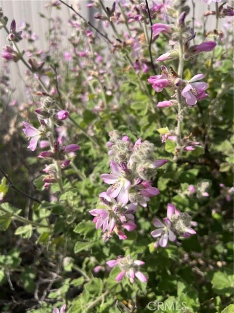 Building Photo - 45766 Altree Ct